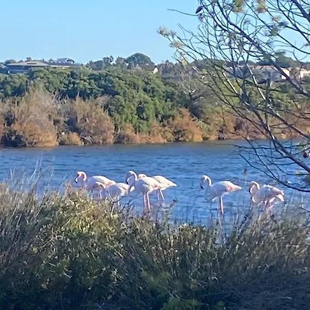 Villa By Elodie Face à La Hyères