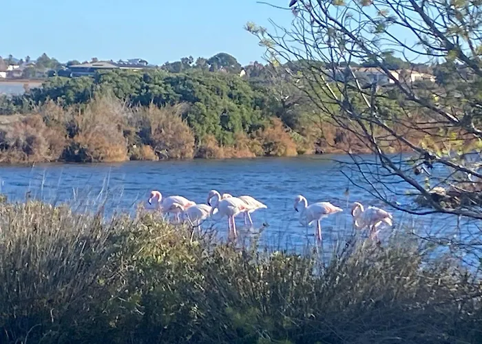 Вілла By Elodie Face A La Єр